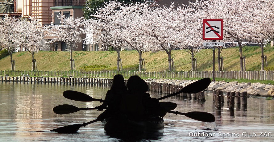 春の日差を感じながら桜を楽しむお花見カヤックツアー｜水上から桜を楽しむお花見カヤック【ZAC】